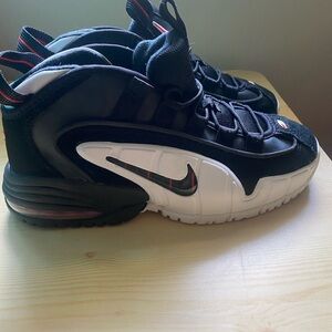 Nike Air Max Penny LE